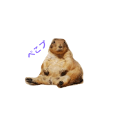 P of prairie dog