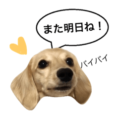 Claire simple life – LINE stickers | LINE STORE