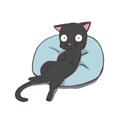 zittomikuroneko