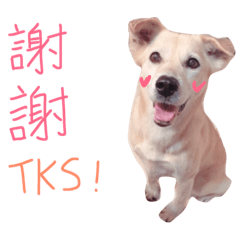 小柔
