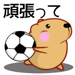 Kyapibara [Soccer cheering]