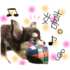 Stamp of Chihuahua's Uta chan 2
