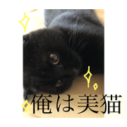 Ban1226