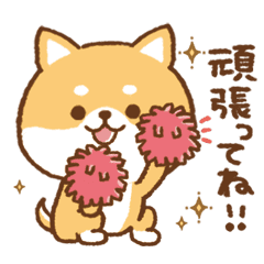 Cheering!Shiba Inu to use everyday08