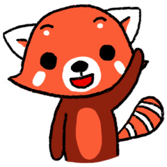 Little cute Red Panda