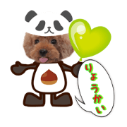 team11panda