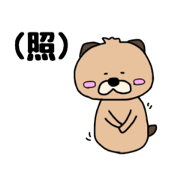 Round Otter