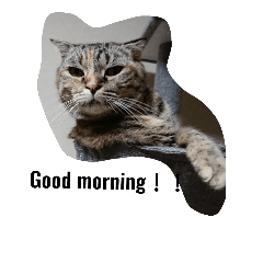 marokina
