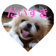 myfamilydogs
