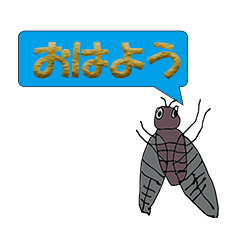 Japanese cicada