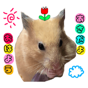 KUUUchan69