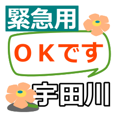 Emergency use[udagawa]name Sticker