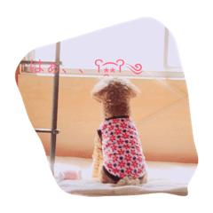 Dog stamp Tiny