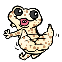 Leopard Geko named Mame 2