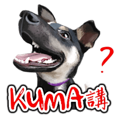 Angel puppy-KUMA