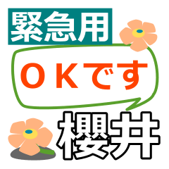 Emergency use[sakurai]name Sticker