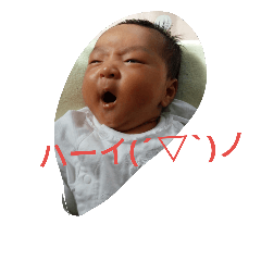 raip-2