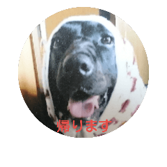 KUBOhana