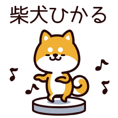 ひかる 柴犬になりました Line スタンプ Line Store ひかる 柴犬になりました Line スタンプ Line Store