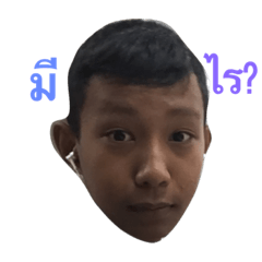 3.10 FML1