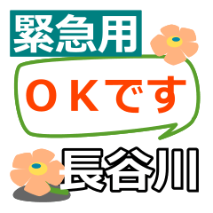 Emergency use[hasegawa]name Sticker