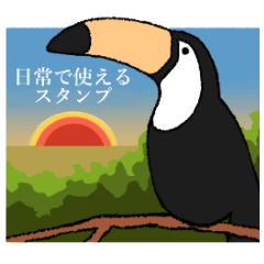 Cheerful toucan!
