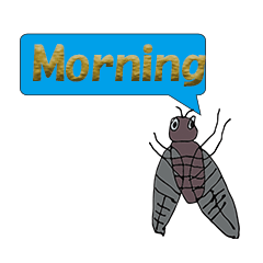 cicadaEnglish