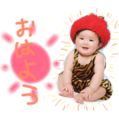 NOA FUJIKATA