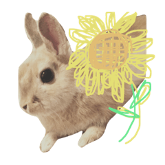 Rabbit H Stamp vol.1