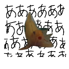 Loach Stickers