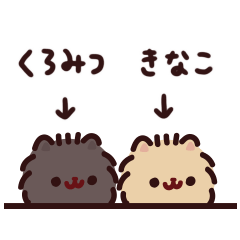 Pomeranian Kinako & Kuromitsu