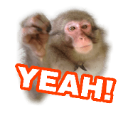 real monkey sticker 3