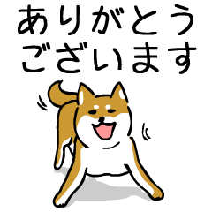 Sibainu Cute Dog Sticker keigoVer