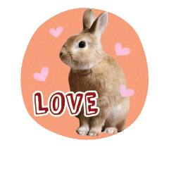 rabbit_LOVE 1