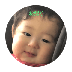 yuitaro.taro
