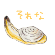 feeling of the mil shellfish