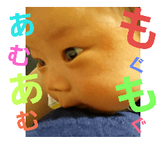 haru.tan2