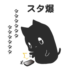 A black cat KUMAO uses youth words