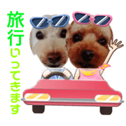 oreo & beni 4