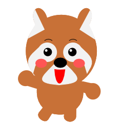 Raccoon daily everyday