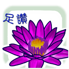 lotus flower - word,Taiwanese,Minnan