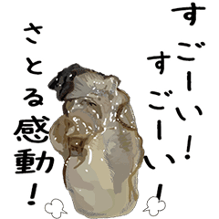 Raw oysters Sticker 011