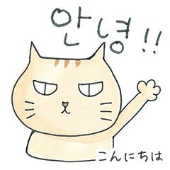 일상 한국어 일본어 스탬프. 고양이！