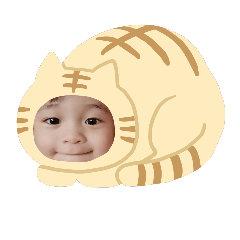 BaiBuaincat