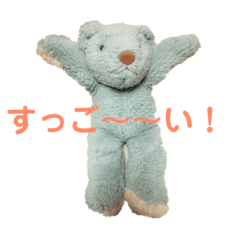 teddy bear SISHO2