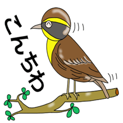 Bird watcher conversation part5