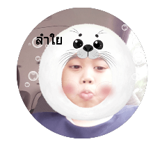 PUNP_1241.