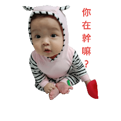 桃桃狂想曲