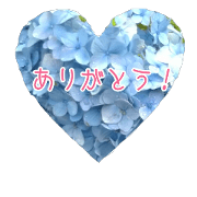 hydrangea message stamp