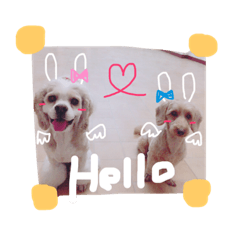 atoro's